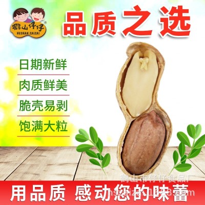 鹤山仔仔陈皮花生干果零食广东特产坚果炒货厂家批发30包350g图4