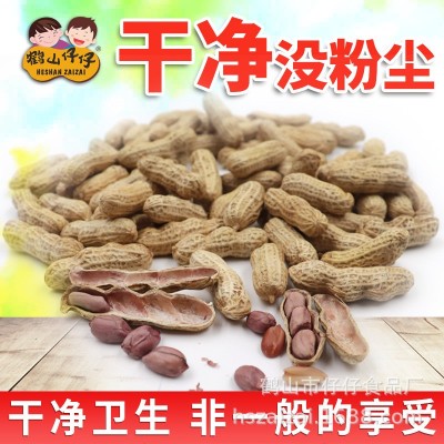 鹤山仔仔蒜香花生干果零食广东特产坚果炒货厂家批发30包350g图3