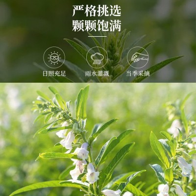 小磨香油瓶装礼盒 淮南特产芝麻油家用餐饮商用调味油食用油批发图3