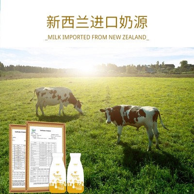 东致沃雷莫斯酸奶饮品早餐奶200ml*12瓶混合口味整箱批发含乳饮料图3