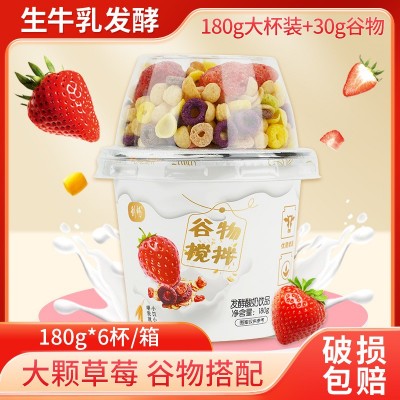 大颗粒燕麦谷物搅拌酸奶杯益生菌早餐代餐酸奶刮畅整箱批发酸奶图3