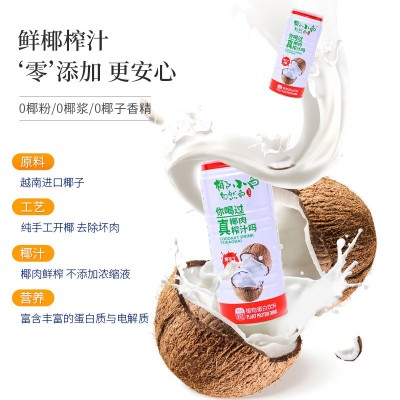 伊之伴椰小白968ml*6椰子汁植物蛋白奶批发鲜榨生榨椰汁罐装饮料图3