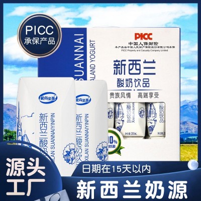 圣菲食品批发风味酸奶厂家儿童饮料水果味饮品早餐奶原味酸 奶整箱图3