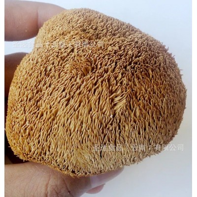 特产干猴头菇厂家直销干货批发食用菌批发菌菇汤包批发新货图3