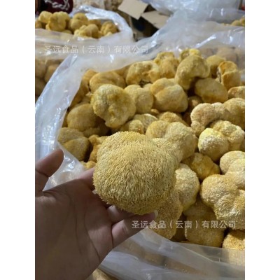 特产干猴头菇厂家直销干货批发食用菌批发菌菇汤包批发新货图2