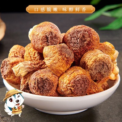 姬松茸干货云南特产食用野生菌菇松茸蘑菇500g无硫熏支持代发批发图3