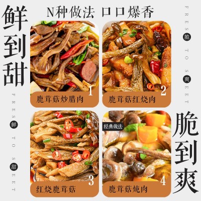 黑标主厨云南野生菌干货鹿茸菇新鲜干货特级煲汤菌菇96g批发代发图4