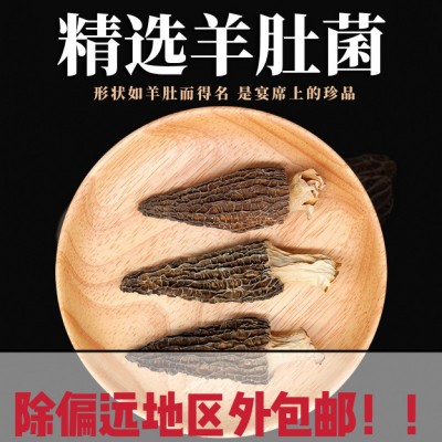 中芮精选羊肚菌干货7-9规格原产地头茬新货羊肚菌菇现货批发图1