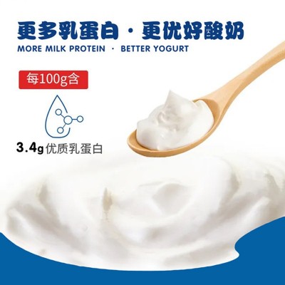 厂家直供 源头批发南国乳业侨港酸奶原味风味酸奶100g*16杯泡沫箱图3