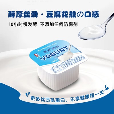 厂家直供 源头批发南国乳业侨港酸奶原味风味酸奶100g*16杯泡沫箱
