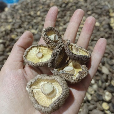 干香菇脱贫大别山剪脚无根肉厚小香菇干货冬菇特产新货产地直发图3