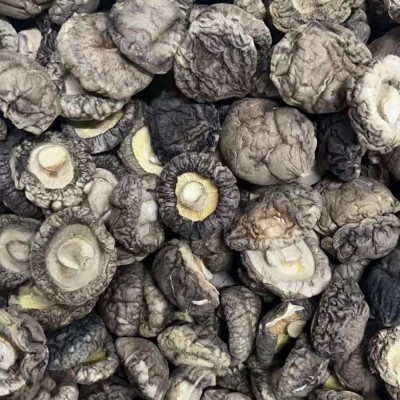 干香菇种植基地源头工厂各种品质各种规格餐饮酒店食品厂直供量大图2