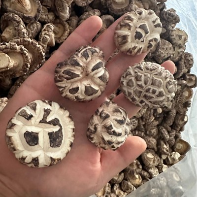 河南香菇百花菇蘑菇源头工厂直发餐饮酒店食品厂直供货源稳定充足图3