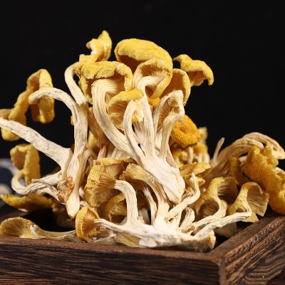 鸡油菌云南原产地黄金菇黄丝菌食用菌菇汤包煲汤食材厂家批发代发图3