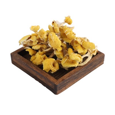 鸡油菌云南原产地黄金菇黄丝菌食用菌菇汤包煲汤食材厂家批发代发图5