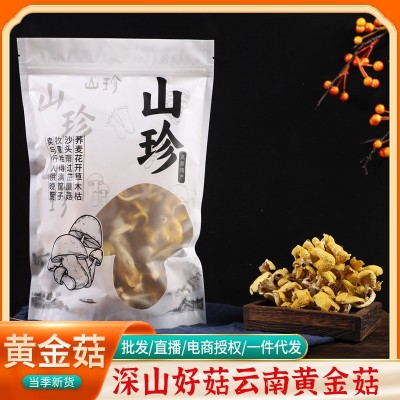 鸡油菌云南原产地黄金菇黄丝菌食用菌菇汤包煲汤食材厂家批发代发图1