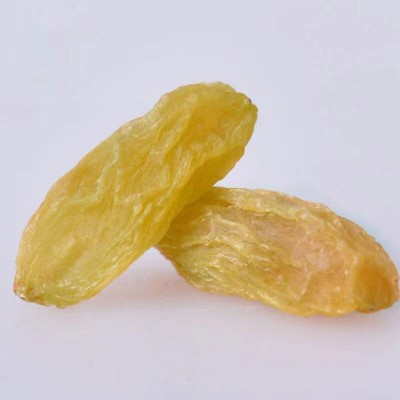 【代发】水洗树上黄葡萄干批发500g 新疆特产黄提子蜜饯葡萄干图2