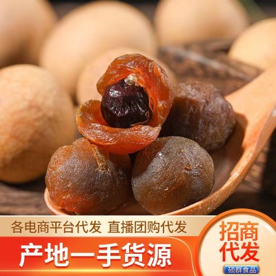 莆田桂圆干大果批发500g 代发龙眼干果干零食泡水煲汤火锅桂圆干图2