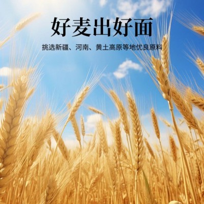 扯面速冻熟食外卖不坨冰鲜面饭店连锁店商用可外卖待煮面条扯面图2