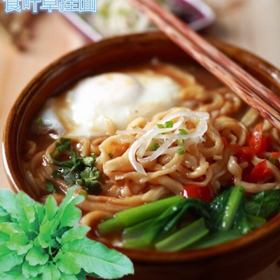 工厂批发食叶草食补面健康配方面条抖音拼多多电商平台桑叶挂面图2