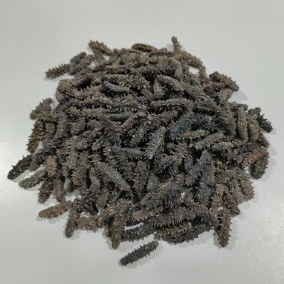 源头厂家批发淡干海参鲜食刺参辽参高刺参肉质饱满淡干小海参干货图4
