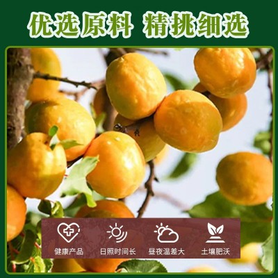 品味敦煌李广杏干300g自然晾晒不加糖无添加剂敦煌特产敦威厂家图2