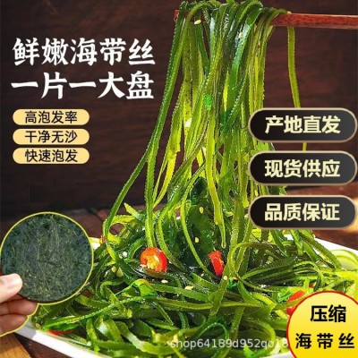 霞浦烘干压缩海带丝免洗网红食品非即食干货圆饼厚海带丝商用批发图2