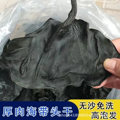 福建特产烘干日晒海带头当季优质干海带头特厚海带干海带根 部干货图5