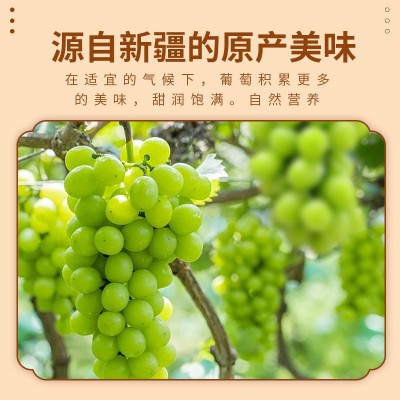 绿葡萄干批发源头厂家现货整箱20斤休闲零食甜品黑葡萄干红葡萄干图3