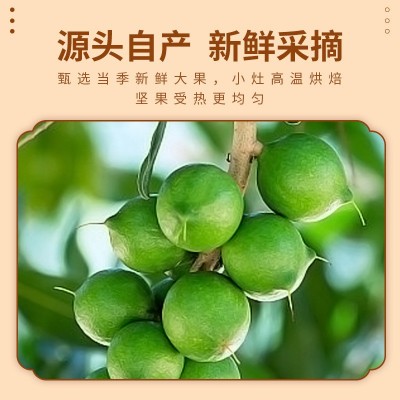 整箱批发夏威夷果奶油味新货大颗粒网红休闲小零食袋装罐装批发图3