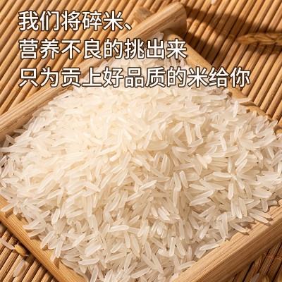 年年丰泰曼兰当季泰国香米新米精挑细选粒粒分明软糯香甜