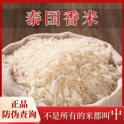 年年丰泰曼兰当季泰国香米新米精挑细选粒粒分明软糯香甜图2