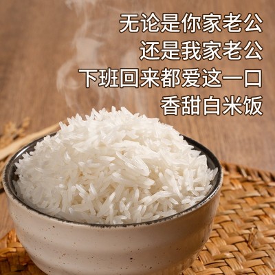 年年丰泰曼兰当季泰国香米新米精挑细选粒粒分明软糯香甜图4
