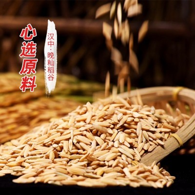陕西树堂汉中大米香米新米源头工厂颗粒饱满直供食堂使用图2