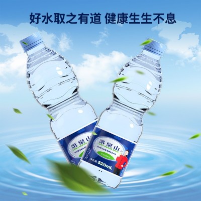 梁皇山 50整箱批发饮用纯净水 非矿泉水520ml*24小瓶家用团购零售图4