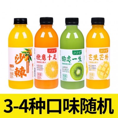 果汁饮料批发鲜橙芒果饮品沙棘猕猴桃酸梅汤苹果醋汽水整箱包邮图2