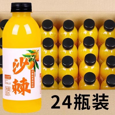 果汁饮料批发鲜橙芒果饮品沙棘猕猴桃酸梅汤苹果醋汽水整箱包邮图3