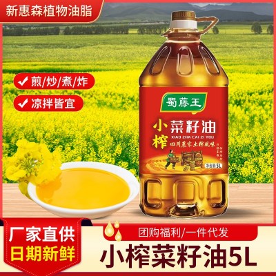 蜀藤王菜籽油5L农家土榨植物油批发一件代发油桶装香四川食用油渝图2