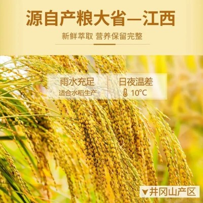 稻米油稻谷油米糠油 纯香食用油纯稻米提取高谷维素 厂家 直销正品图4