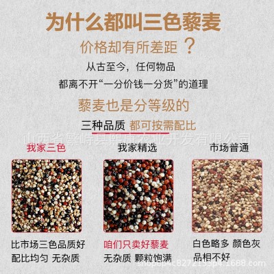 三色藜麦新米青海高原一级藜麦米三色黎麦米五谷杂粮糖友胖友主食图3