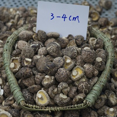 厂家直销秋载一级光面菇厚肉冬菇批发图3