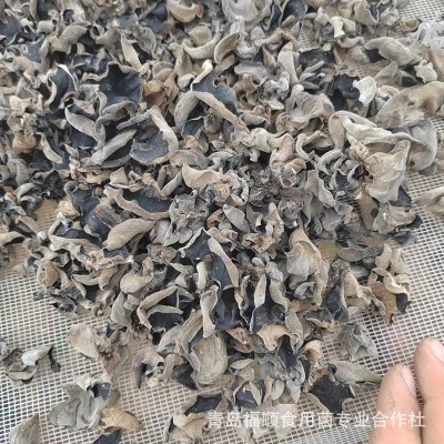 秋木耳牡丹江特产干货无根黑木耳小碗耳农产品电商直播一件代发图3