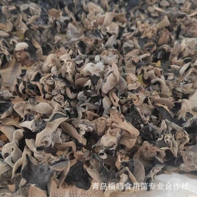 秋木耳牡丹江特产干货无根黑木耳小碗耳农产品电商直播一件代发图5