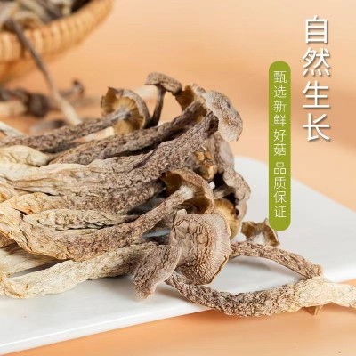 厂家直销古田鹿茸菇干货散装餐饮食材脆脆菇多种规格鹿茸菌批发图2