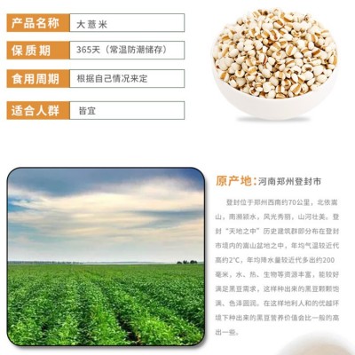 低温烘焙熟薏米大薏米五谷杂粮磨粉原料现磨豆浆煮粥煲汤薏米批发图4