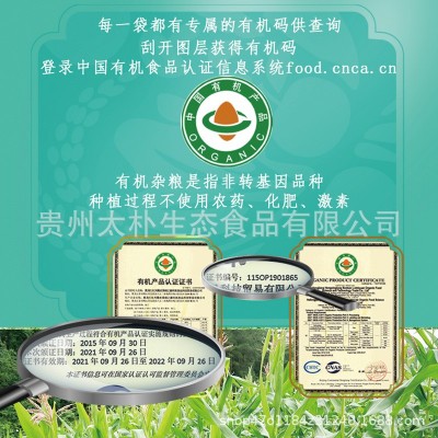 有机玉米糁新鲜五谷杂粮农家玉米渣子粥米低脂饱腹组合粗粮袋装图2