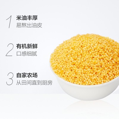 盖亚农场 五谷杂粮有机小米黄小米900g/袋农家杂粮小米粥小米图3
