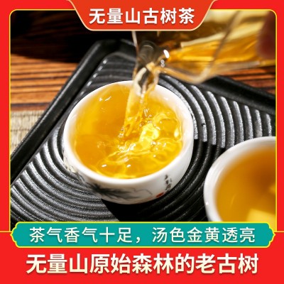 无量山古树单株古树云南普洱茶生茶古树茶图2