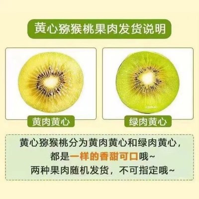 四川黄心猕猴桃【早期绿肉黄心】包邮当季水果黄金弥猴桃一件代发图2