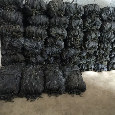 霞浦干海带批发无沙厚干货散装福建海带特产厂家自产自销图4